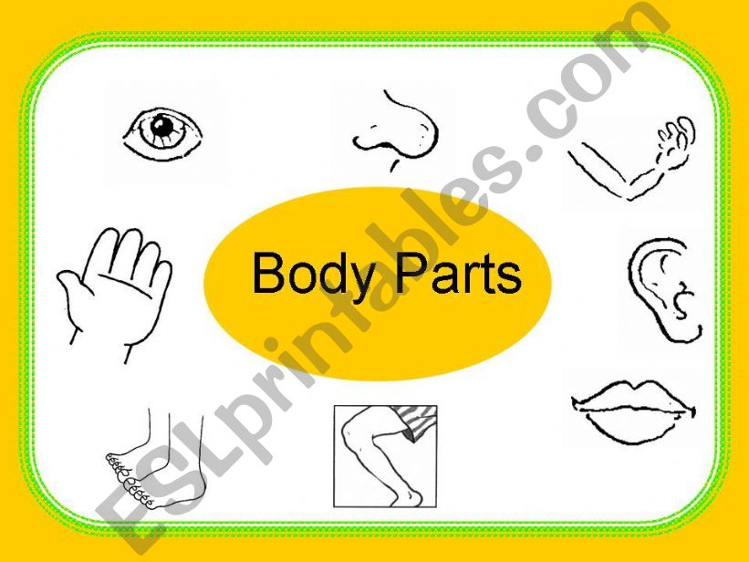 Body Parts powerpoint