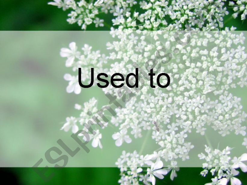 Used To powerpoint
