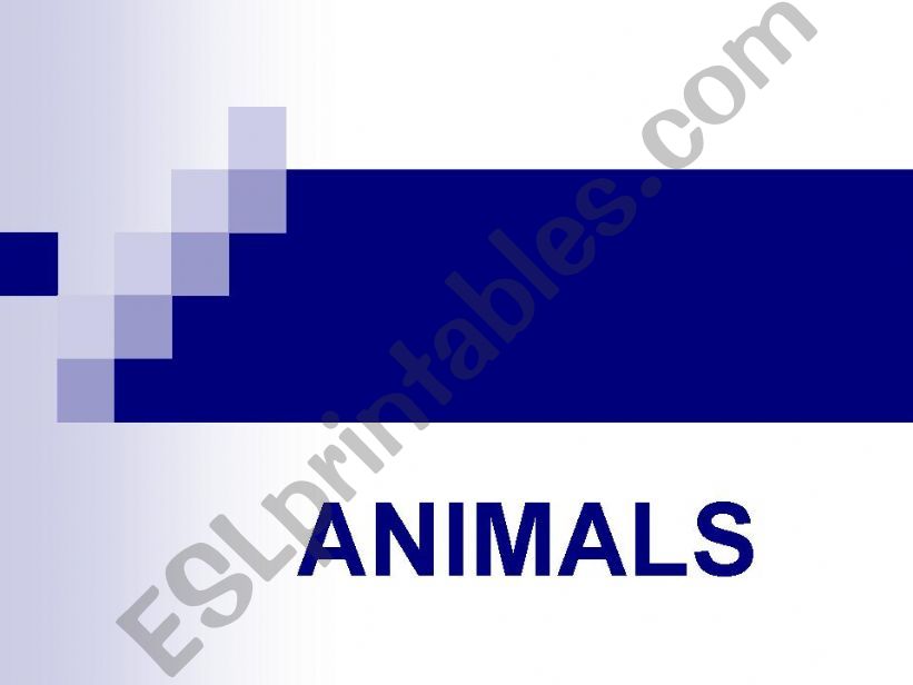 ZOO ANIMALS powerpoint