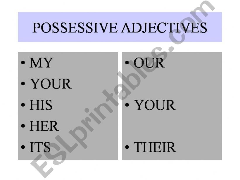 Possessive Adjectives - Presentation & Practice