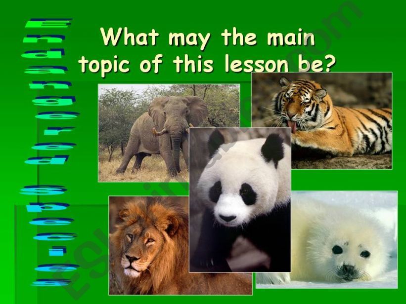 Endangered Species powerpoint