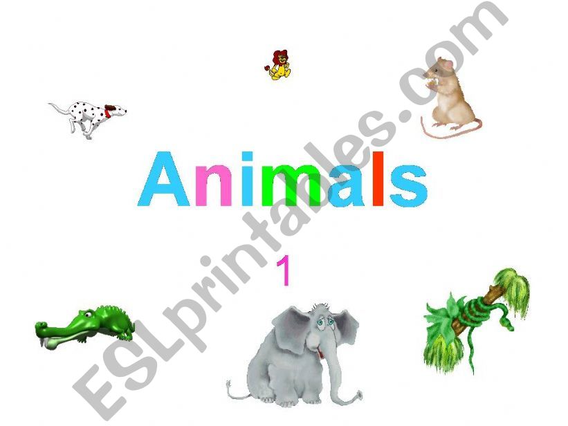 Animals 1 powerpoint
