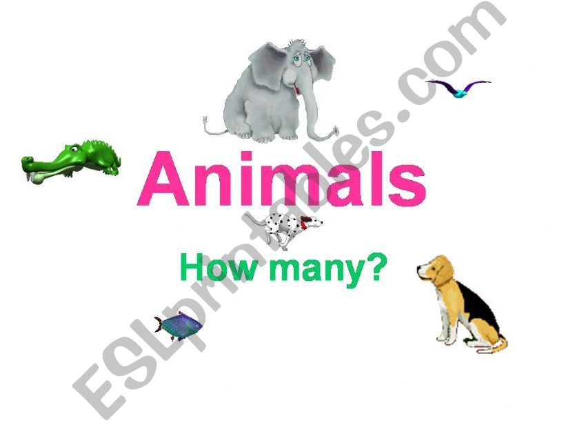 Animals - how many? powerpoint
