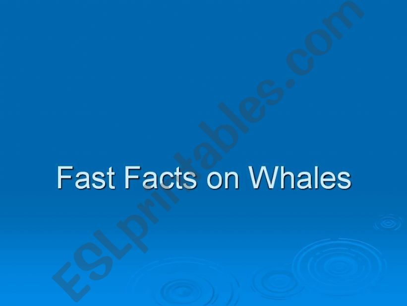Fast Facts on Whales powerpoint