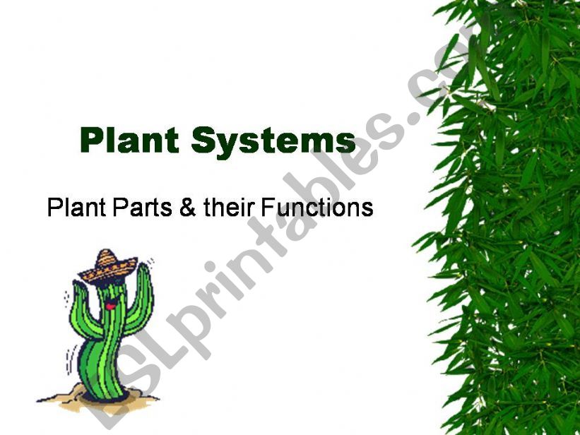 Plant Parts and their function