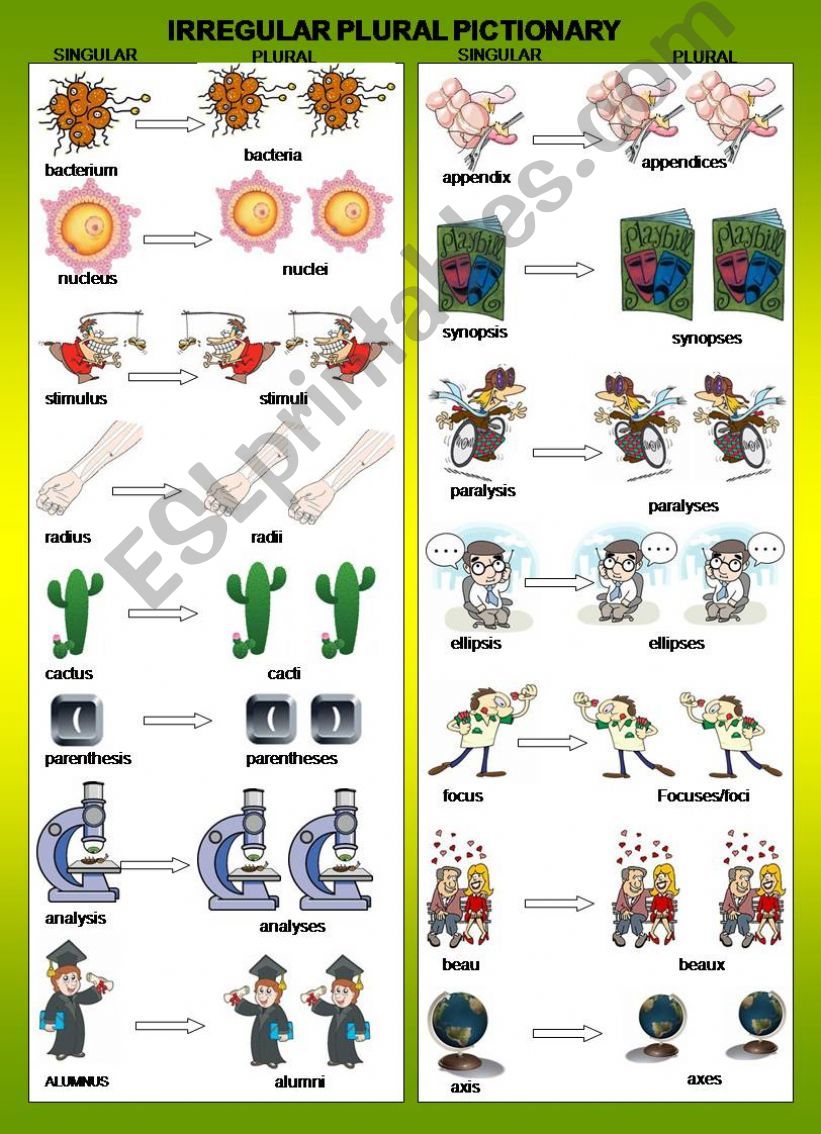 IRREGULAR PLURAL PICTIONARY powerpoint