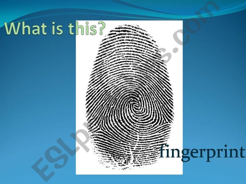 Fingerprints and Animal Tracks