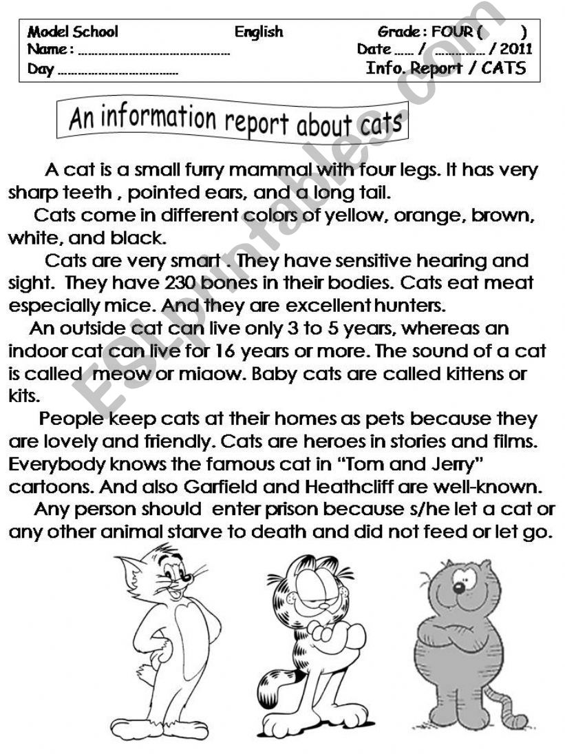 An Information report about cats -  4 sheets