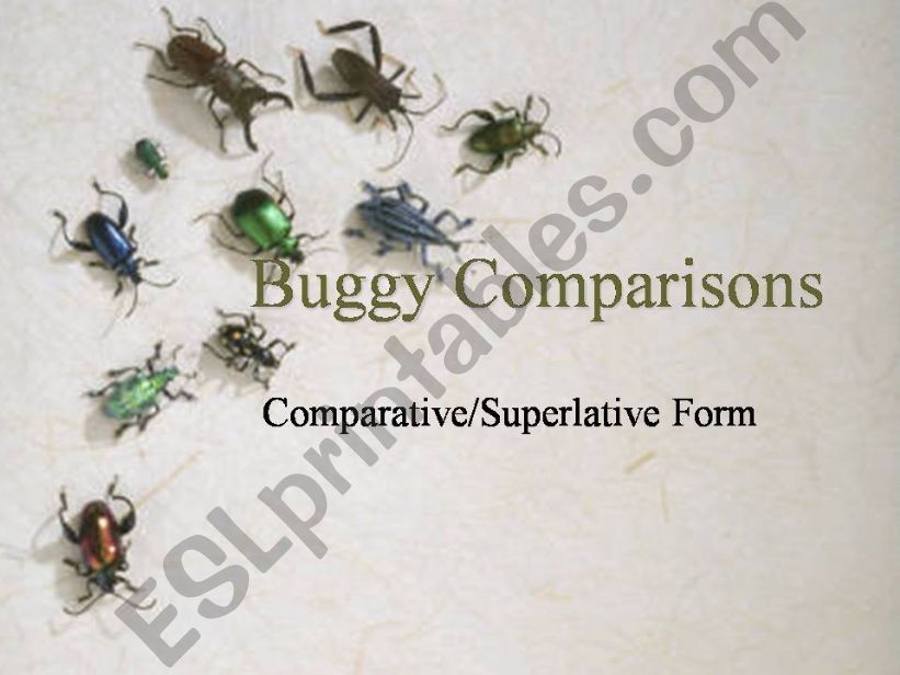 Buggy Comparisons powerpoint