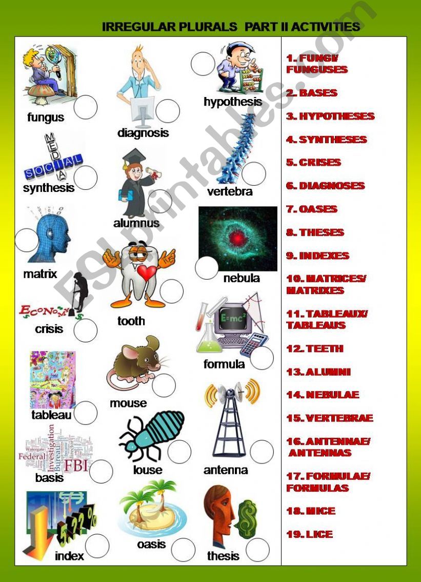 IRREGULAR PLURAL  - ACTIVITIES  PART II  - B&W + KEY