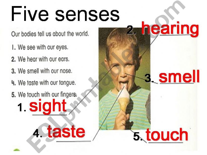 five senses powerpoint