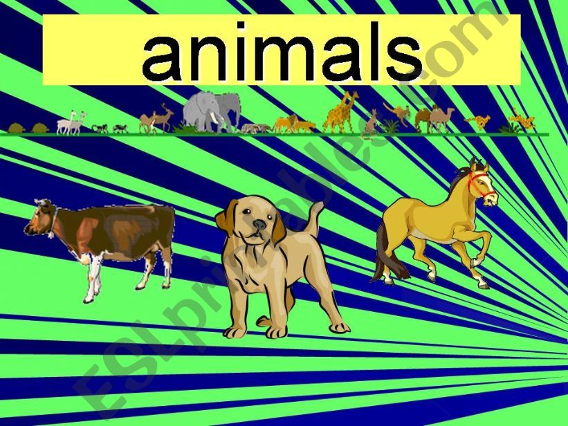 farm animals powerpoint