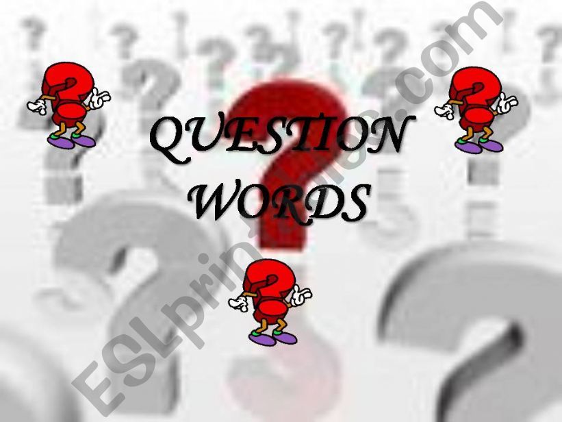 Question words sample sentences and interactive exercises