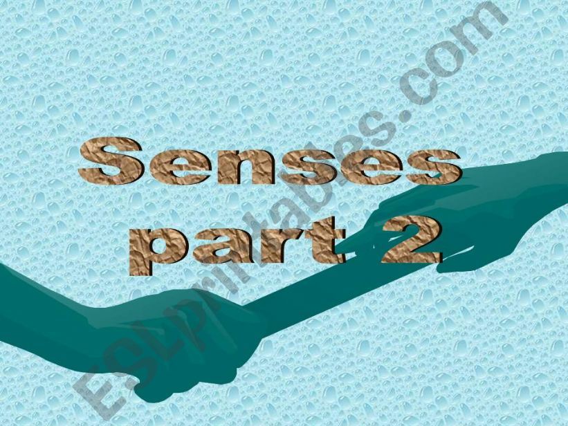 senses part2 powerpoint