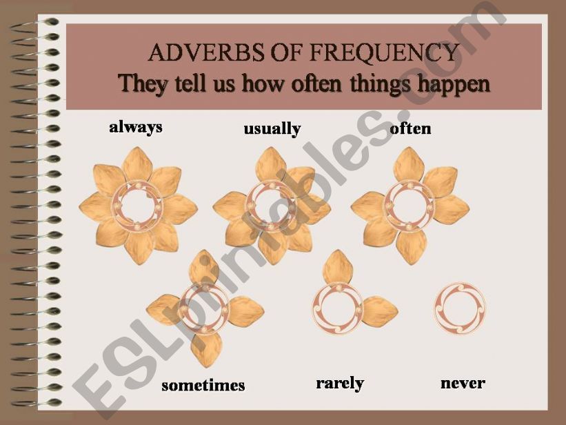 Frequency Adverbs powerpoint