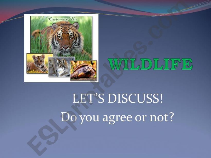 WILDLIFE, animals+ comparison of adjectives+numbers.