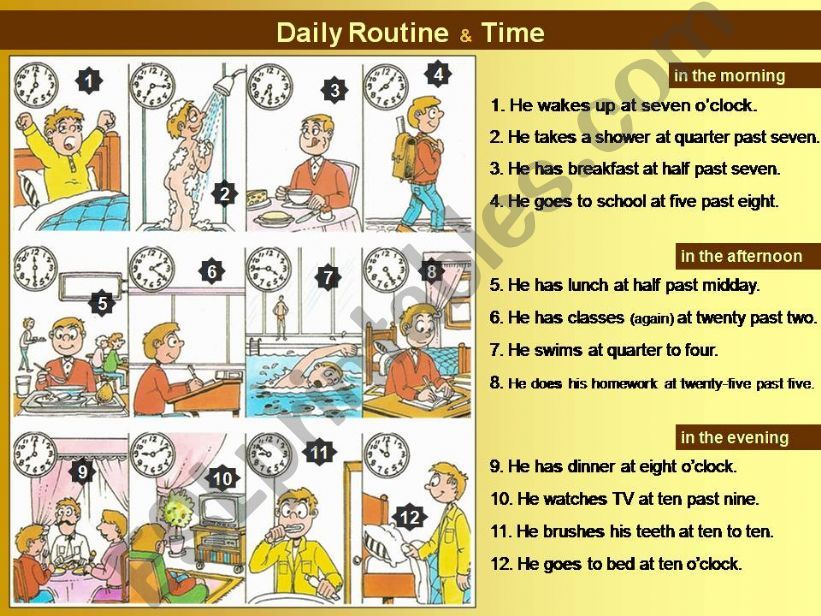 DAILY ROUTINE & TIME powerpoint