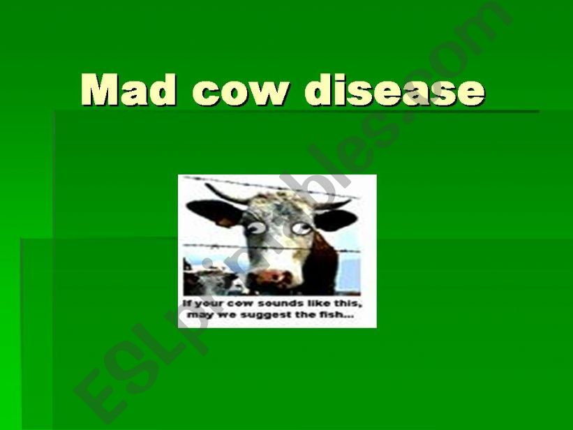 MAD COW DISEASE powerpoint