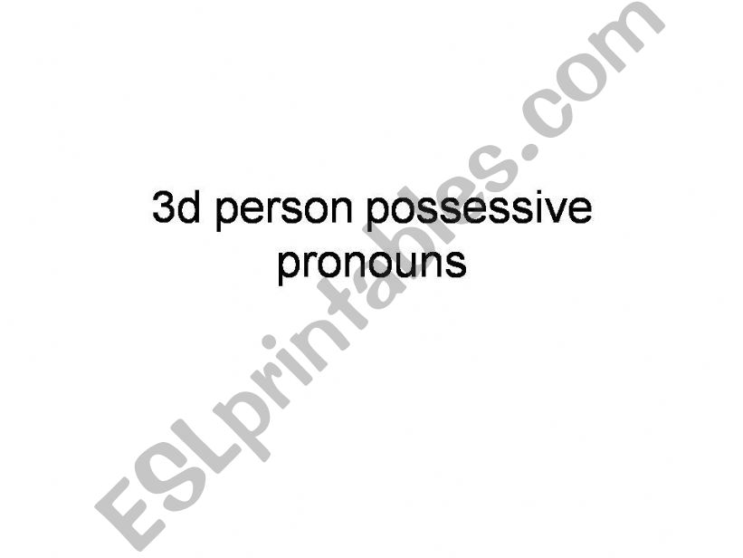 3d person possessive pronouns powerpoint