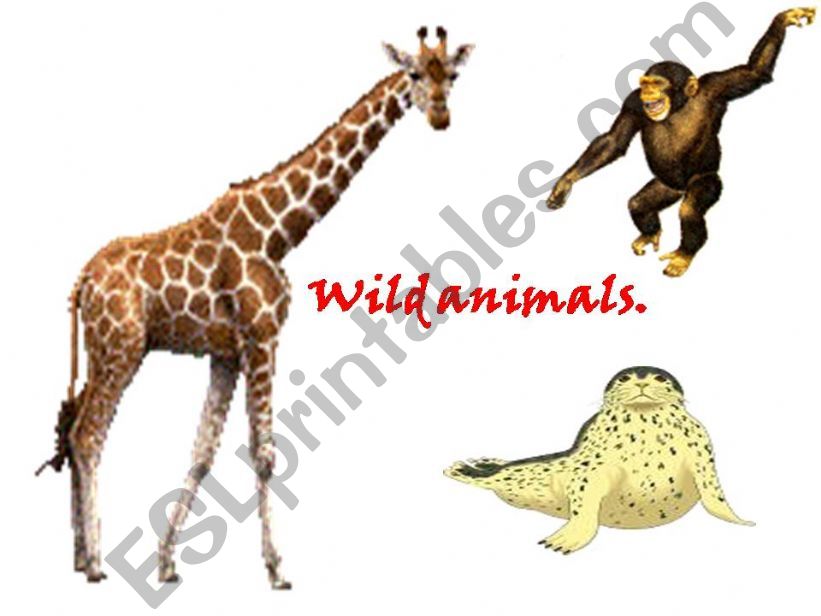 Wild animals powerpoint