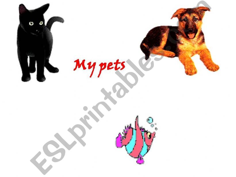 my pets powerpoint
