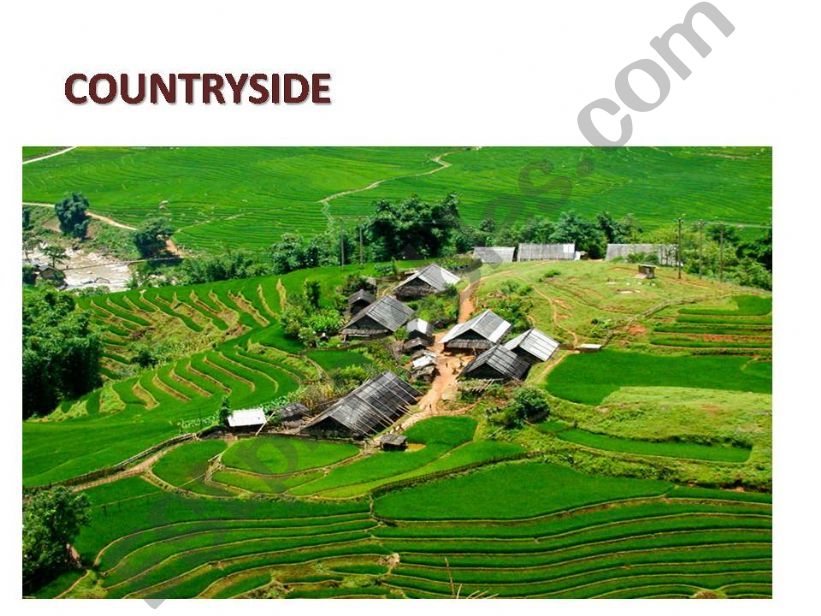 Vocabs about countryside powerpoint