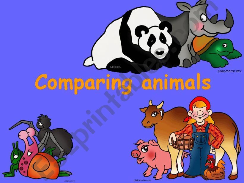 Comparing animals powerpoint