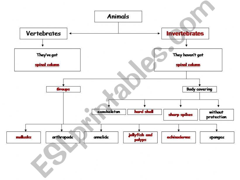 invertebrates mindmaps powerpoint