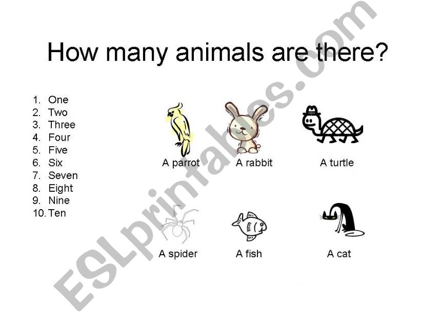 how many animals are there? powerpoint