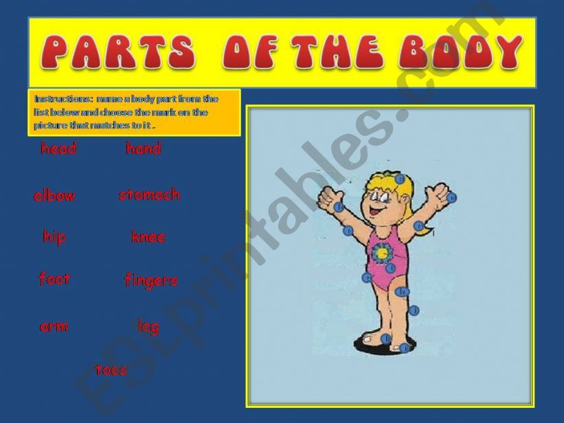 Parts of the body powerpoint