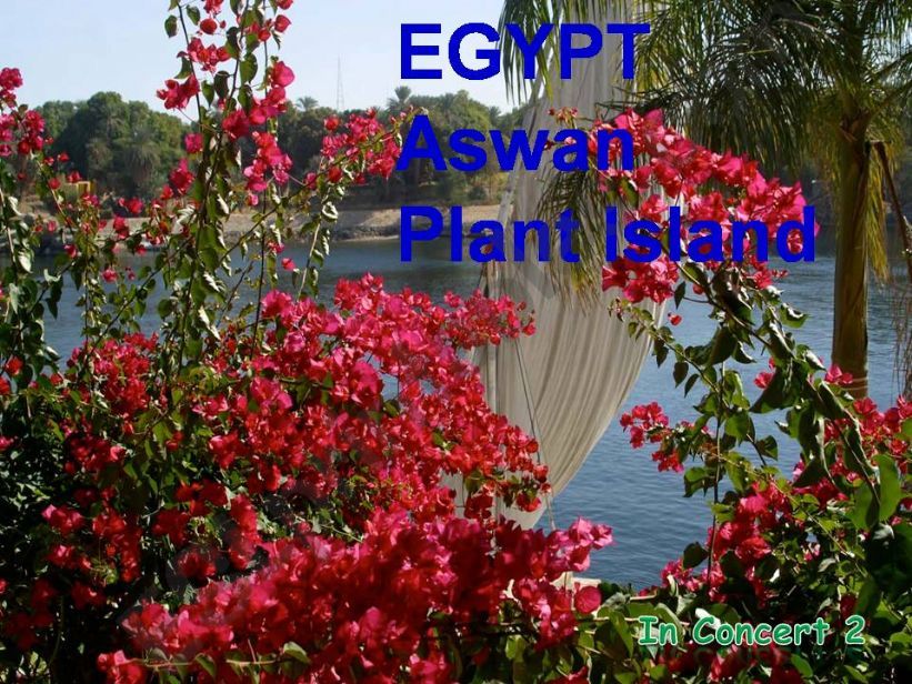 Egypt, Aswan powerpoint
