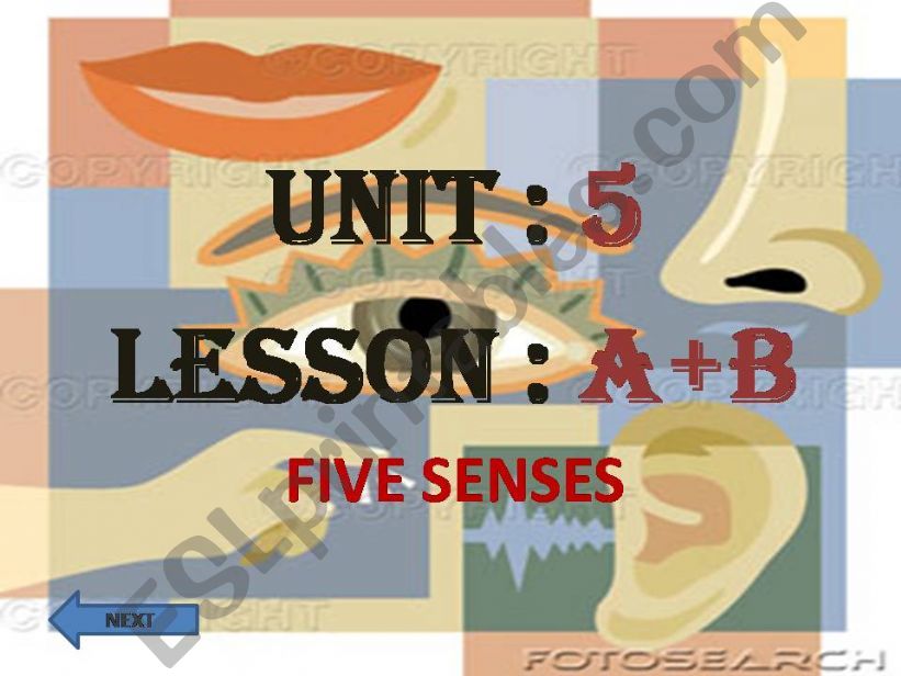 Five Senses powerpoint