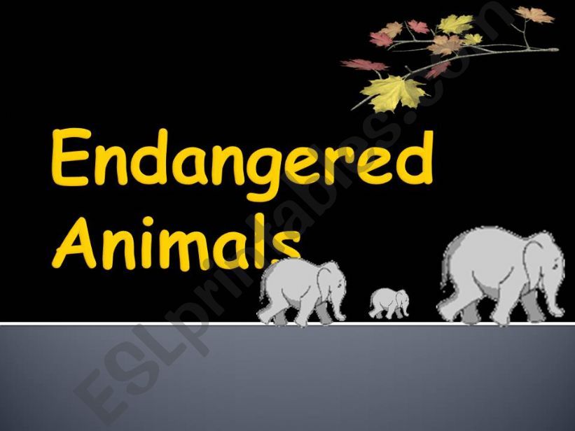 Endangered Animals powerpoint