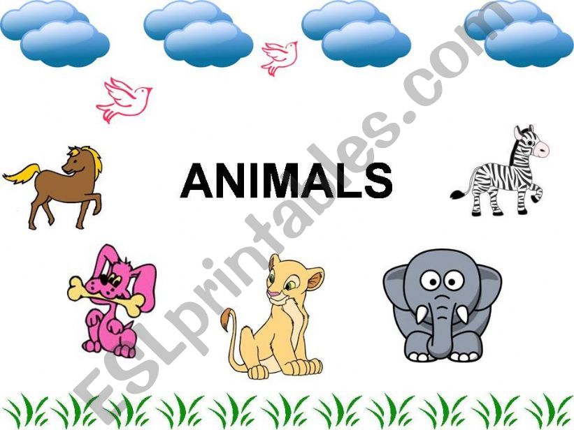 Animals powerpoint