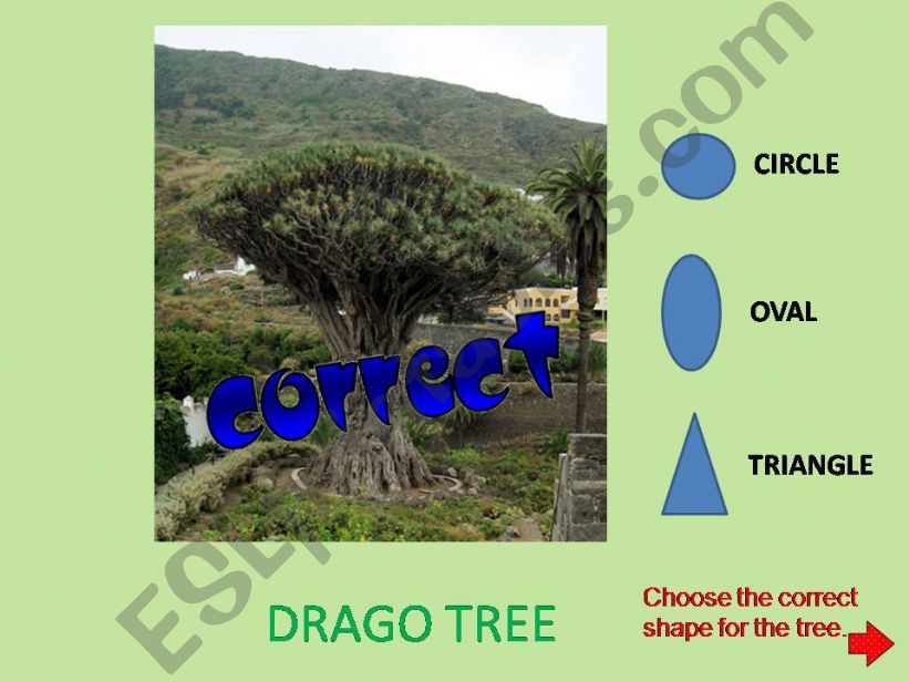 Tree Shapes Part 2 of 3 powerpoint
