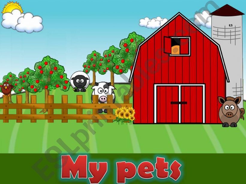 my pets 1/2 powerpoint