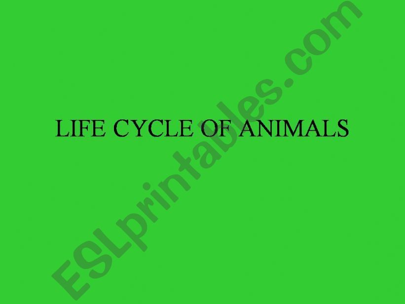 Life Cycle of Animals powerpoint