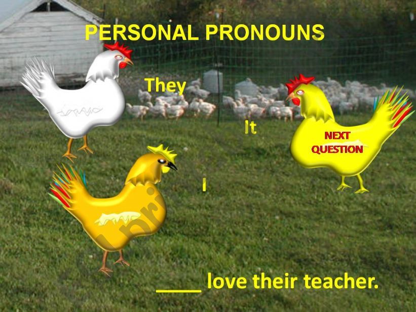 Personnal Pronouns Chicken Game Animated With Sound