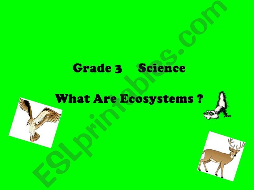 what are ecosystems? powerpoint