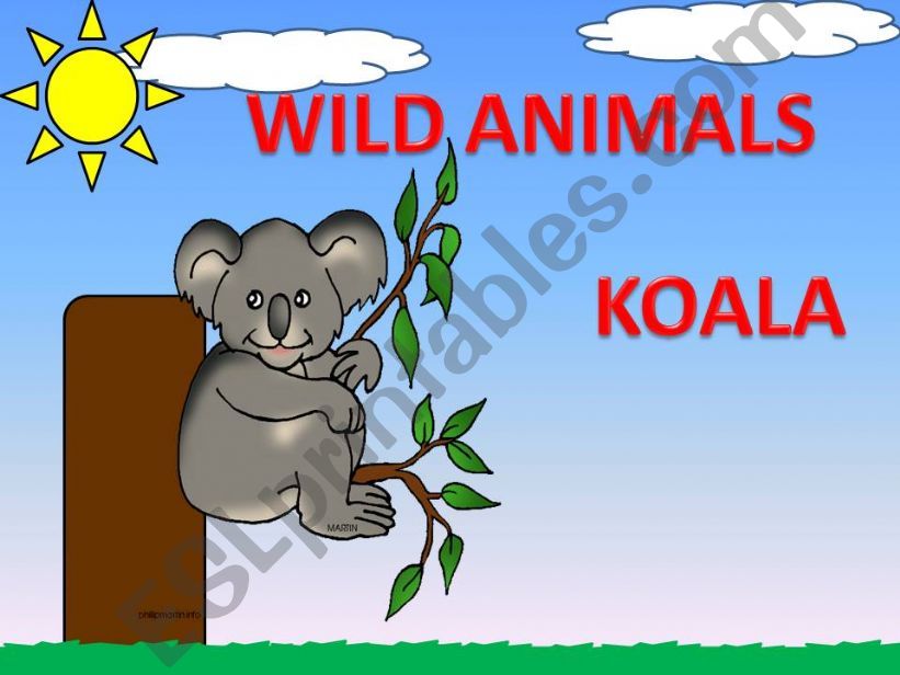 ... WILD ANIMALS 1/2....! powerpoint