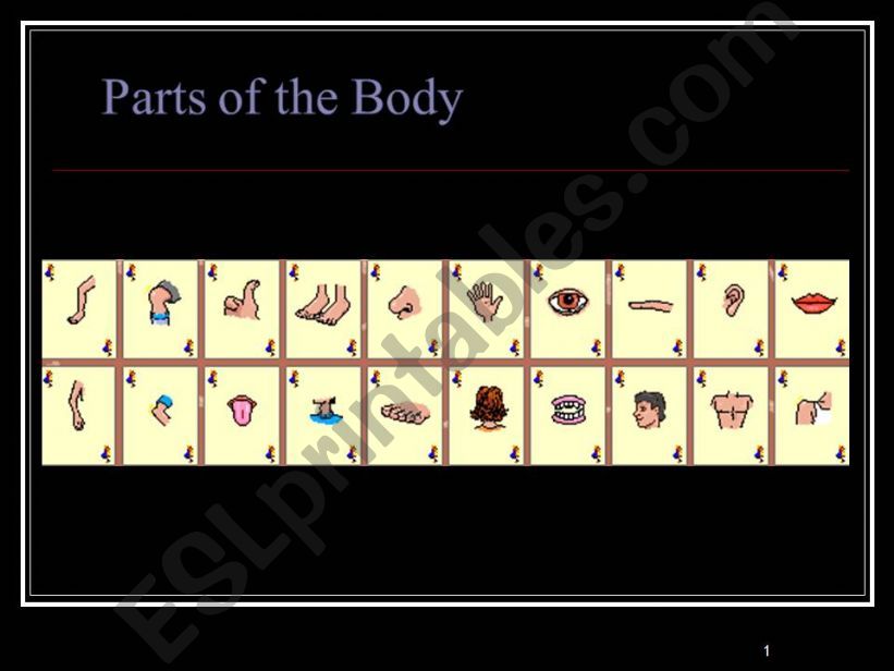 Parts of the Body powerpoint
