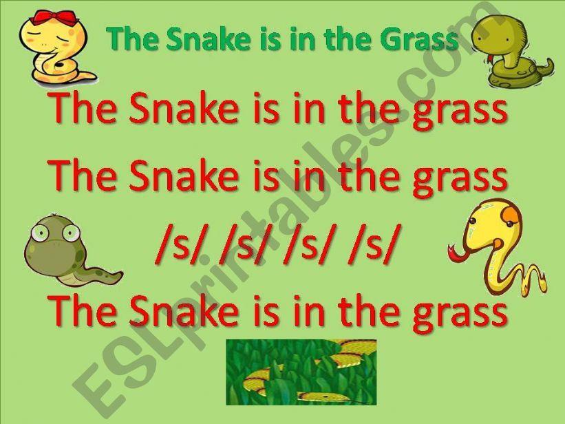 The Snake is in the Grass (Jolly Phonics)