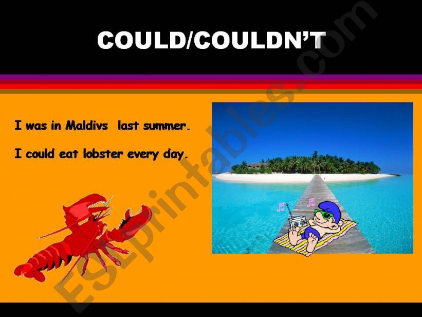Could/Couldnt powerpoint