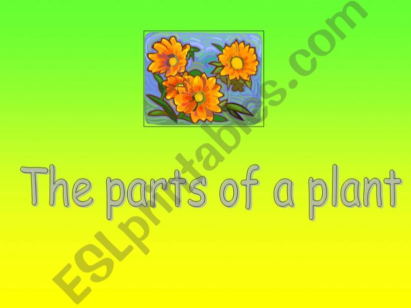 Parts of the plants we eat powerpoint