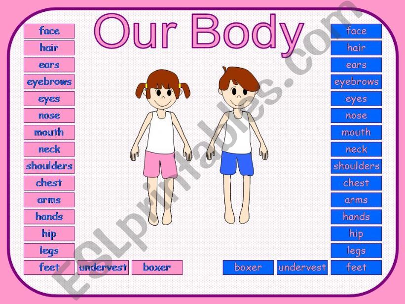 Our Body powerpoint