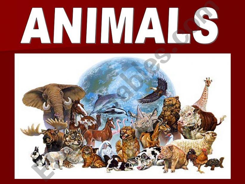 ANIMALS powerpoint