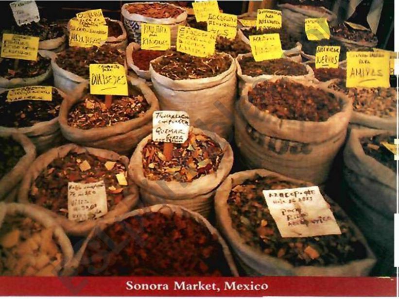 street markets powerpoint