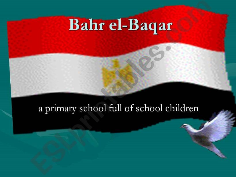 bahr el-baqar powerpoint