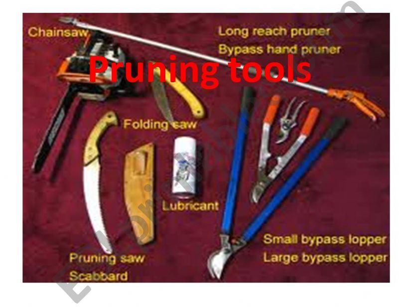 Prunning tools powerpoint