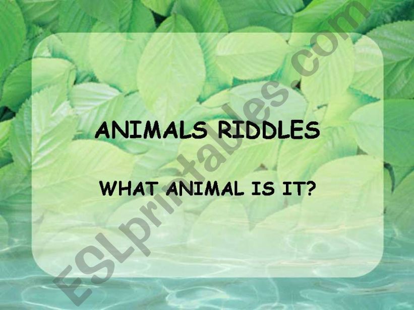 Animal riddles powerpoint